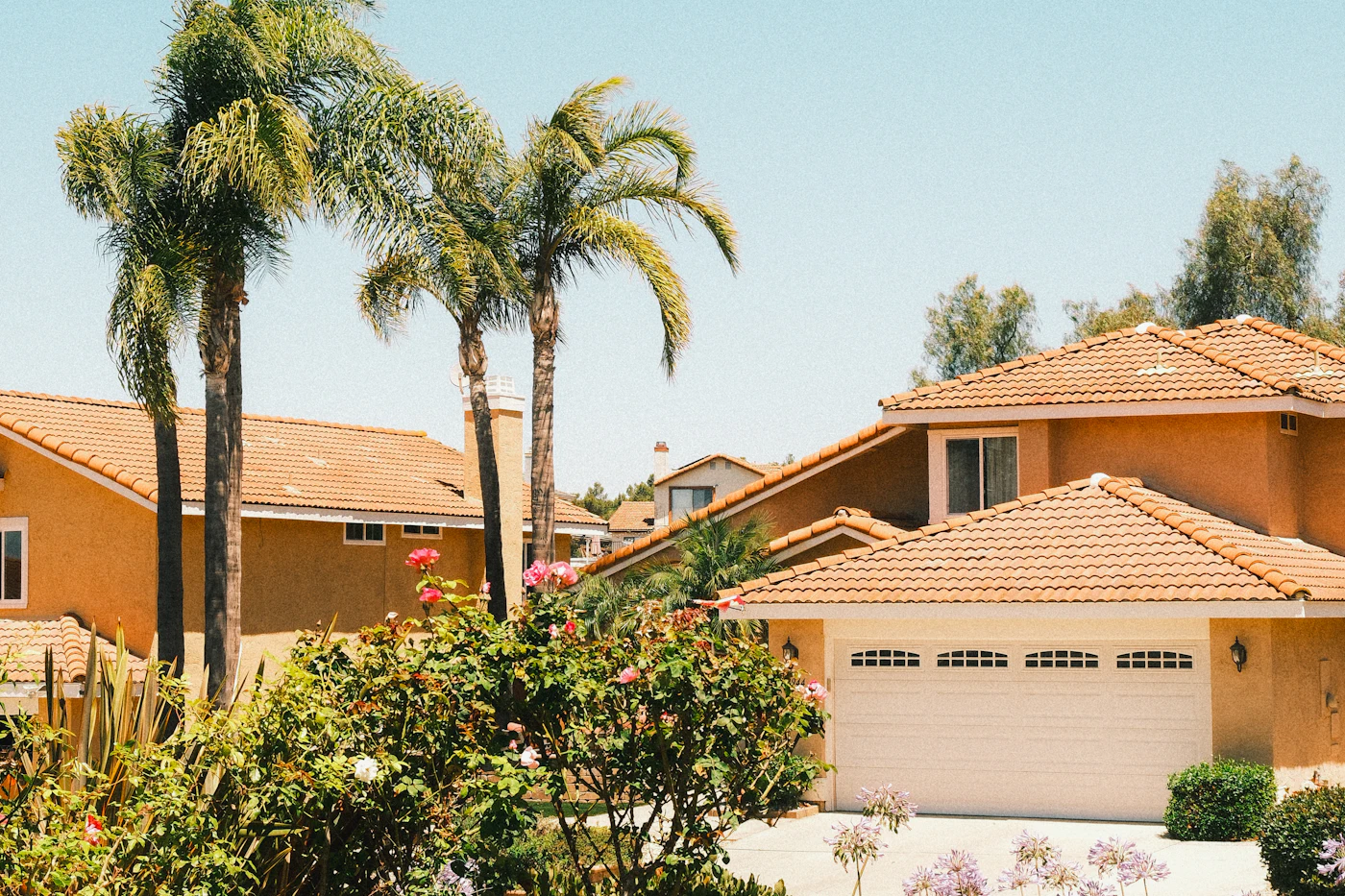 Southern California homes with tile roofs and palm trees