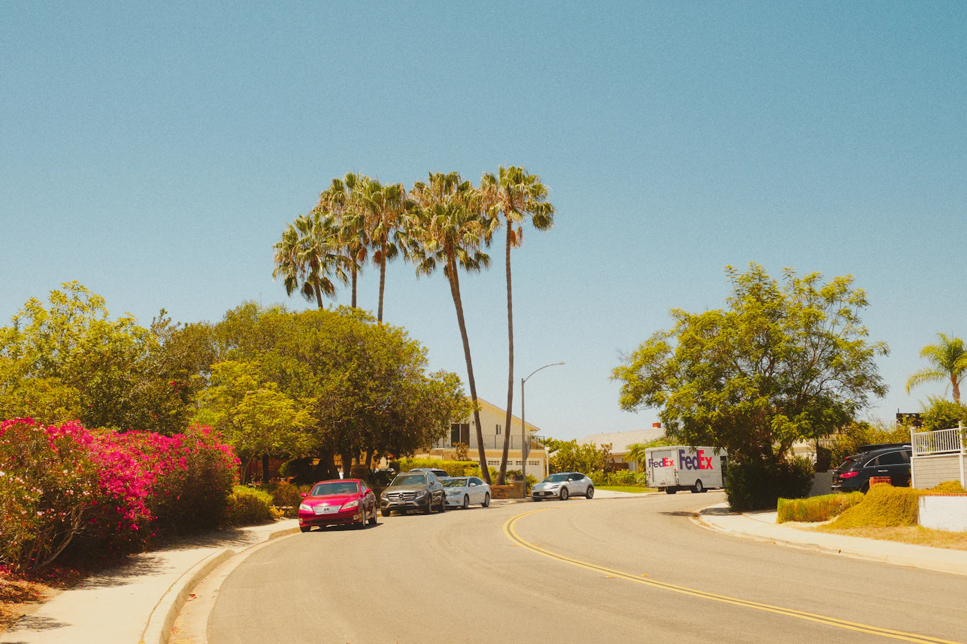 Sunny Southern California residential street lined with palm trees